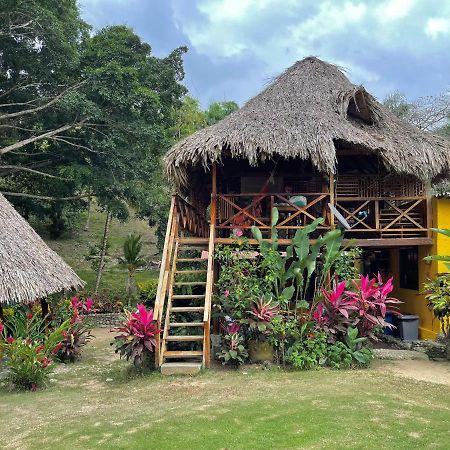 Ecohostal Palmares Del Rio Guachaca Buitenkant foto