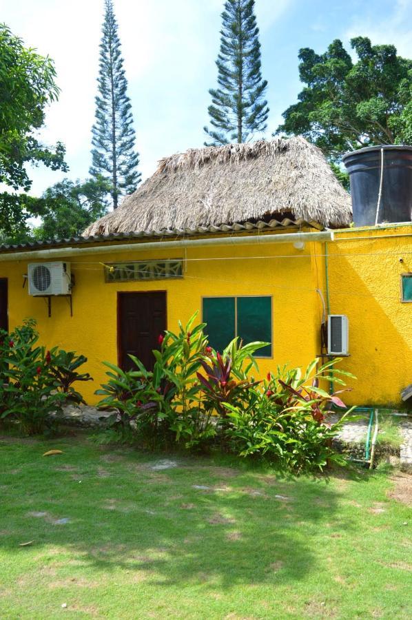 Ecohostal Palmares Del Rio Guachaca Buitenkant foto