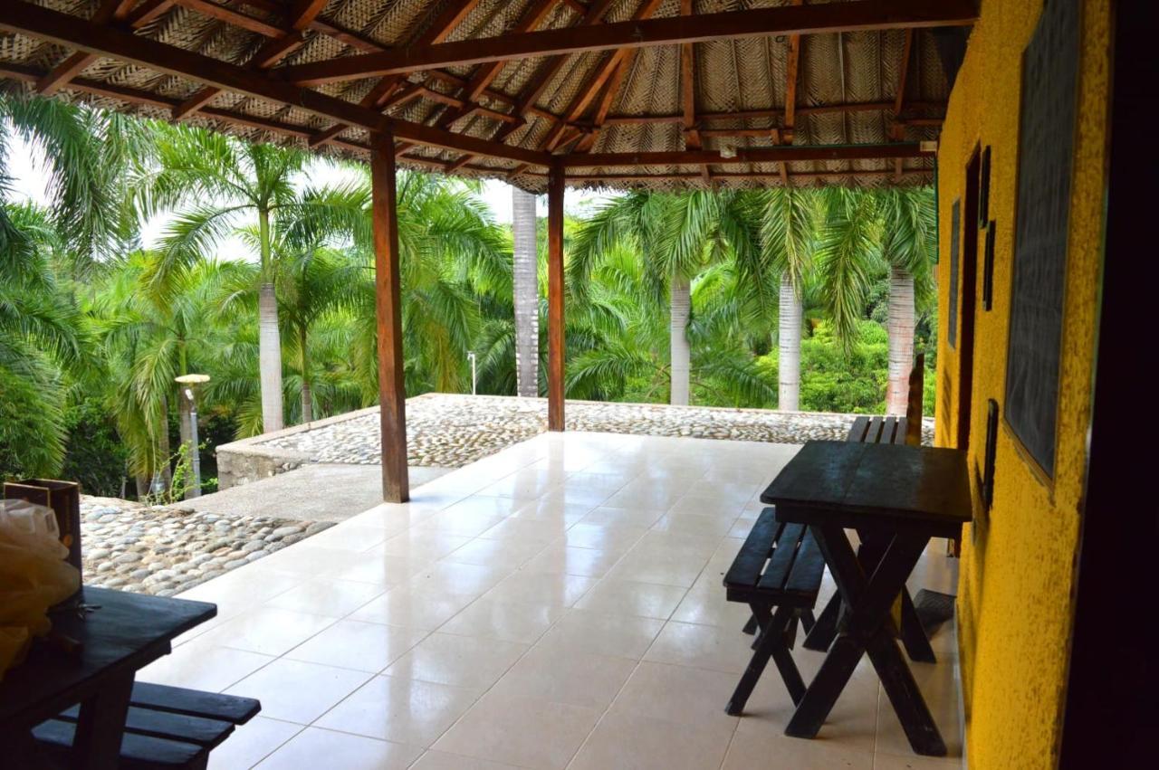 Ecohostal Palmares Del Rio Guachaca Buitenkant foto