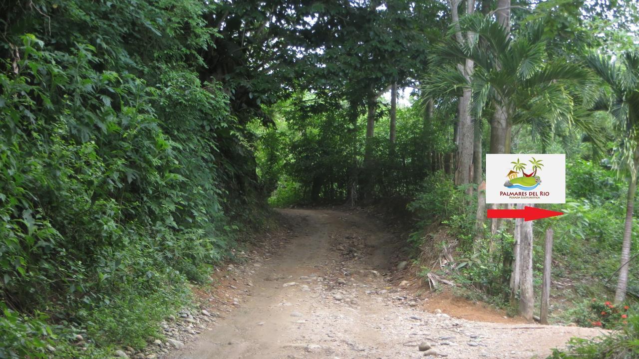 Ecohostal Palmares Del Rio Guachaca Buitenkant foto