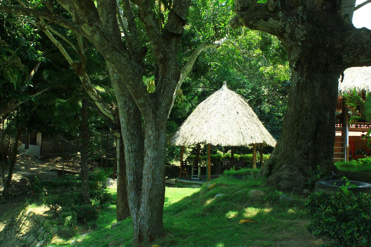 Ecohostal Palmares Del Rio Guachaca Buitenkant foto